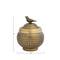 Hello Honey® 7" Antique Brass Finish Hammered Aluminum Sphere Container with Lid & Bird